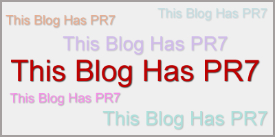 Page Rank 7 Blog Dont Wait for the Next Google Page Rank Update