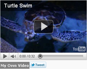 Simple Tubes 2 Rotate Multiple Videos from You Tube on Sidebar using My Simple Tubes WordPress Widget