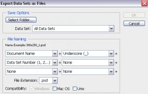 Export Data Sets 300x191 Export Data Sets